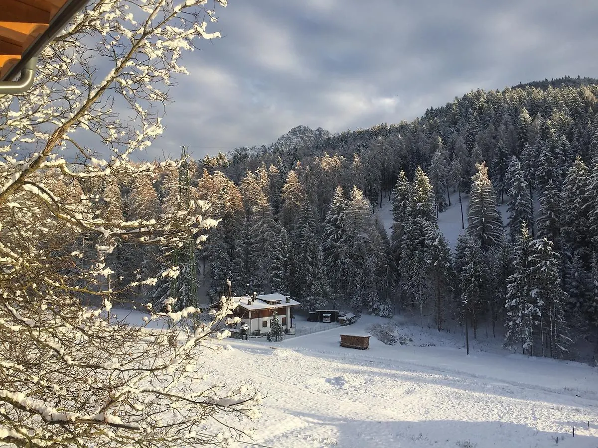 Hotel Bel Sit Valle di Cadore 3*,